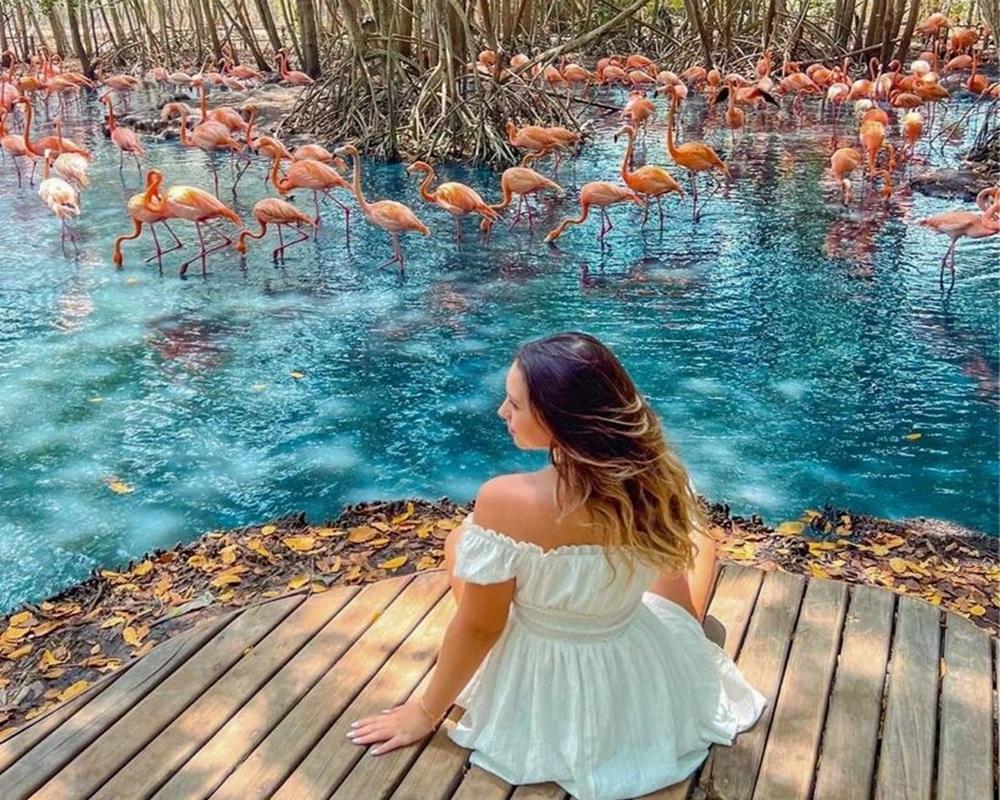 Aviario Nacional + Playa Baru - Imagen 3