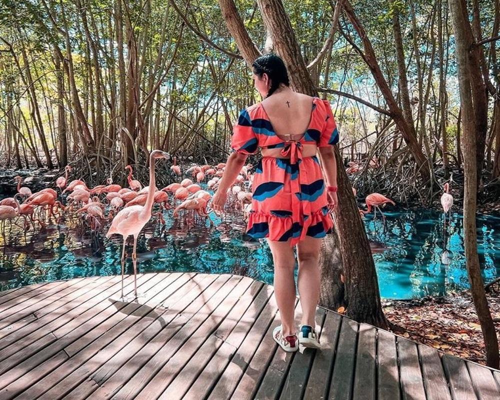 Aviario Nacional + Playa Baru - Imagen 2