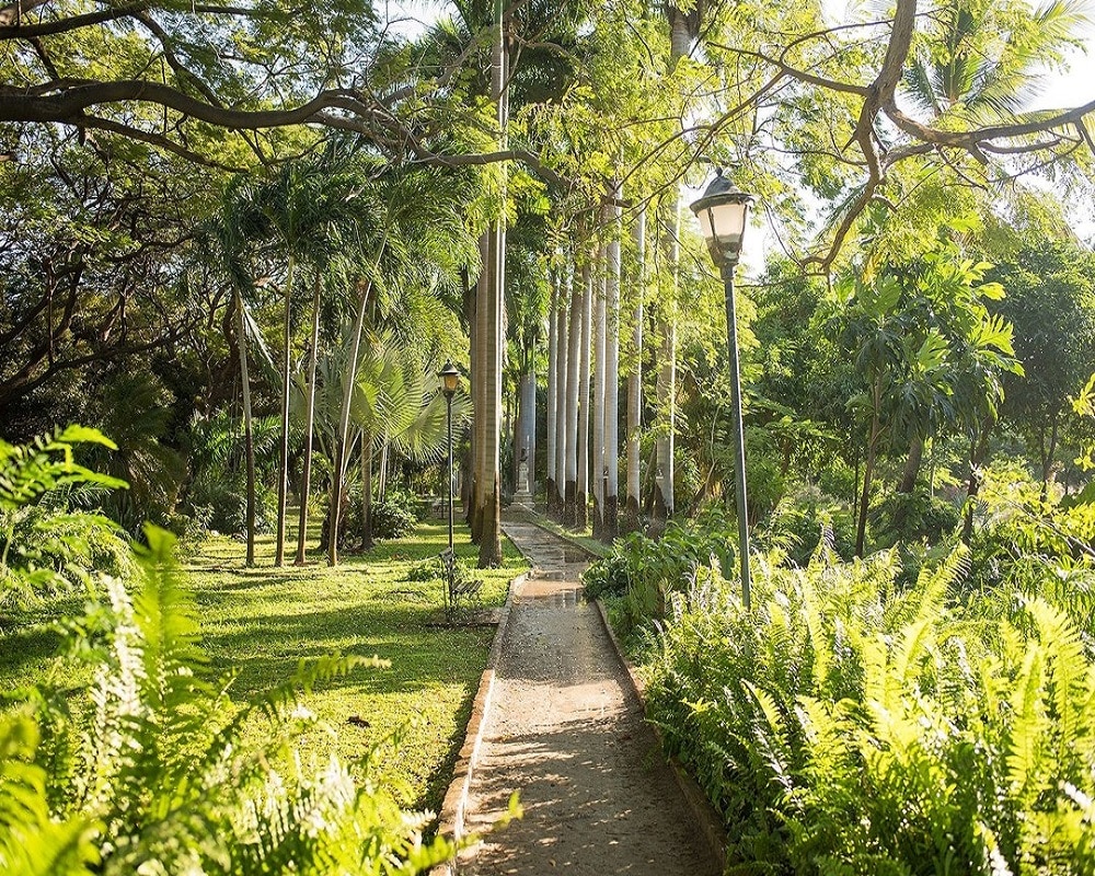 Tour Santa Marta - Imagen 11