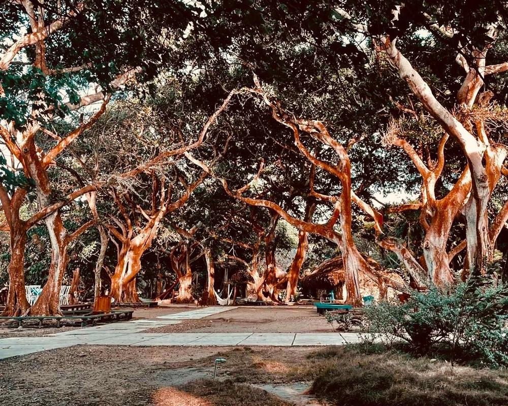 San Pedro Majagua - Imagen 13