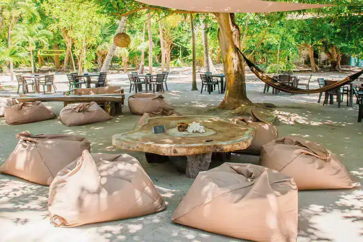 Isla Paue - Image 12